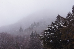 saiko-snowing-mountain2-DSC08985-1